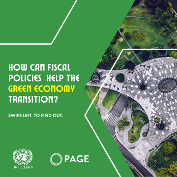Green Fiscal Policy
