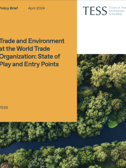 Trade and Environment at the World Trade Organization