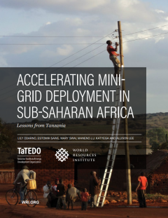 Accelerating Mini-grid Deployment in Sub-Saharan Africa
