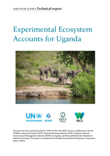 Experimental Ecosystem Accounts for Uganda