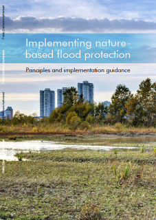 Implementing Nature-Based Flood Protection_Principles and implementation guidance
