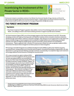 Incentivizing the Involvement of the Private Sector in REDD+