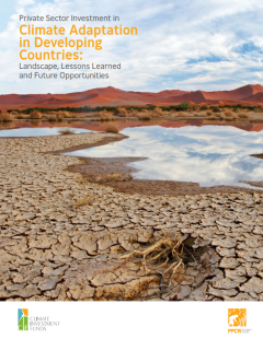 Private Sector Investment in Climate Adaptation in Developing Countries_Landscape, Lessons Learned and Future Opportunities