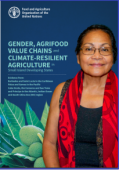 Gender, Agrifood Value Chains and Climate-resilient Agriculture - SIDS
