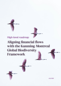 High-level Roadmap_ Aligning financial flows with the Kunming-Montreal Global Biodiversity Framework_UNEP FI.