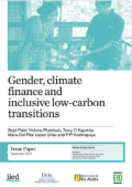 Gender, climate finance and inclusive low-carbon transitions