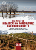 the impact of disasters on food security