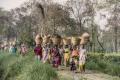 Photo of Indians carrying baskets by Trevor Cole on Unsplash