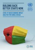 Socio-Economic Impact of COVID-19 in Guinea-Bissau_UNDP.jpg