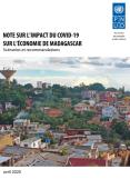 Socio-Economic Impact of COVID-19 in Madagascar (French)_UNDP.jpg