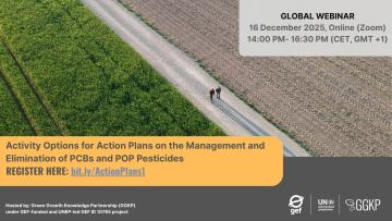 Activity Options for Action Plans on the Management and Elimination of PCBs and POP Pesticides