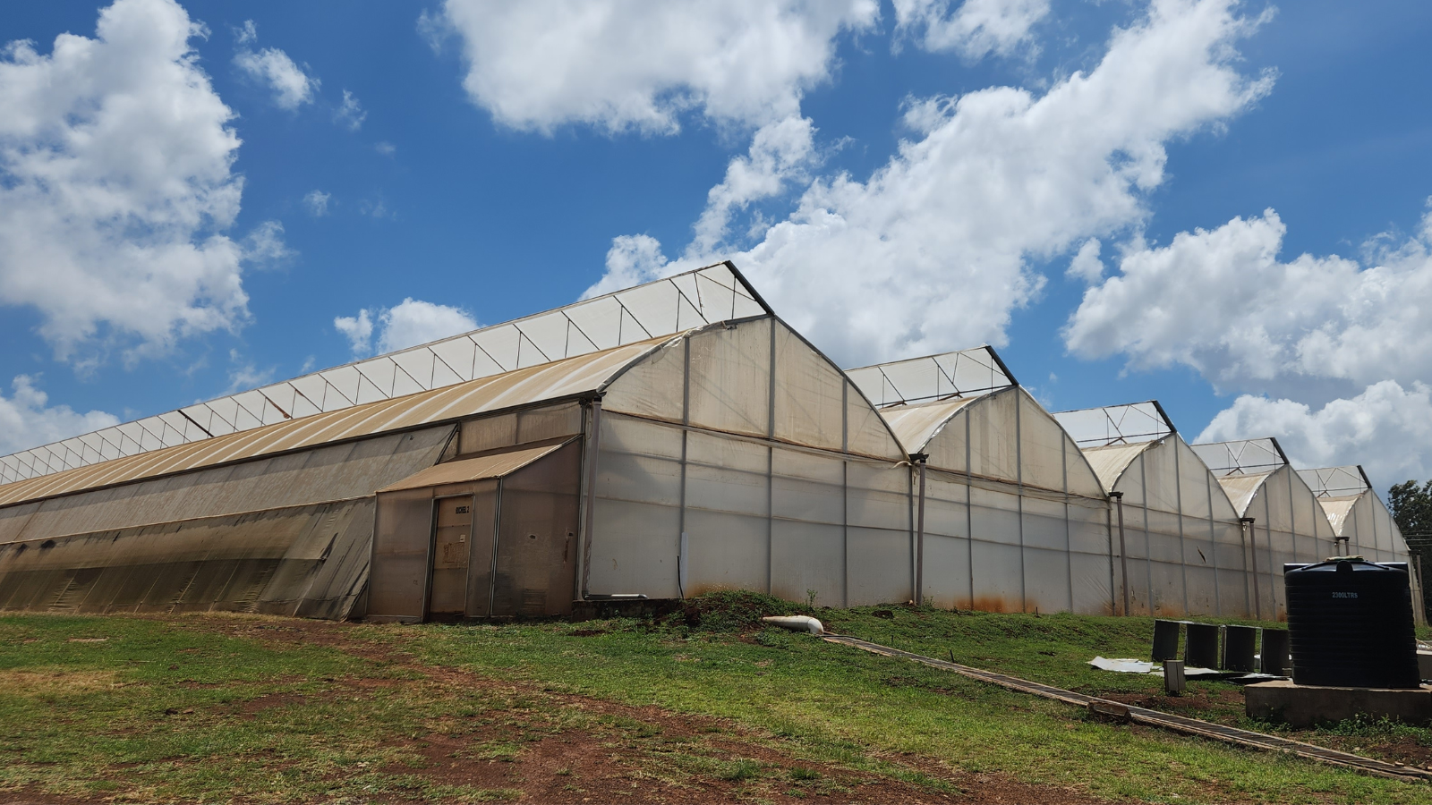 Greenhouses against blue sky