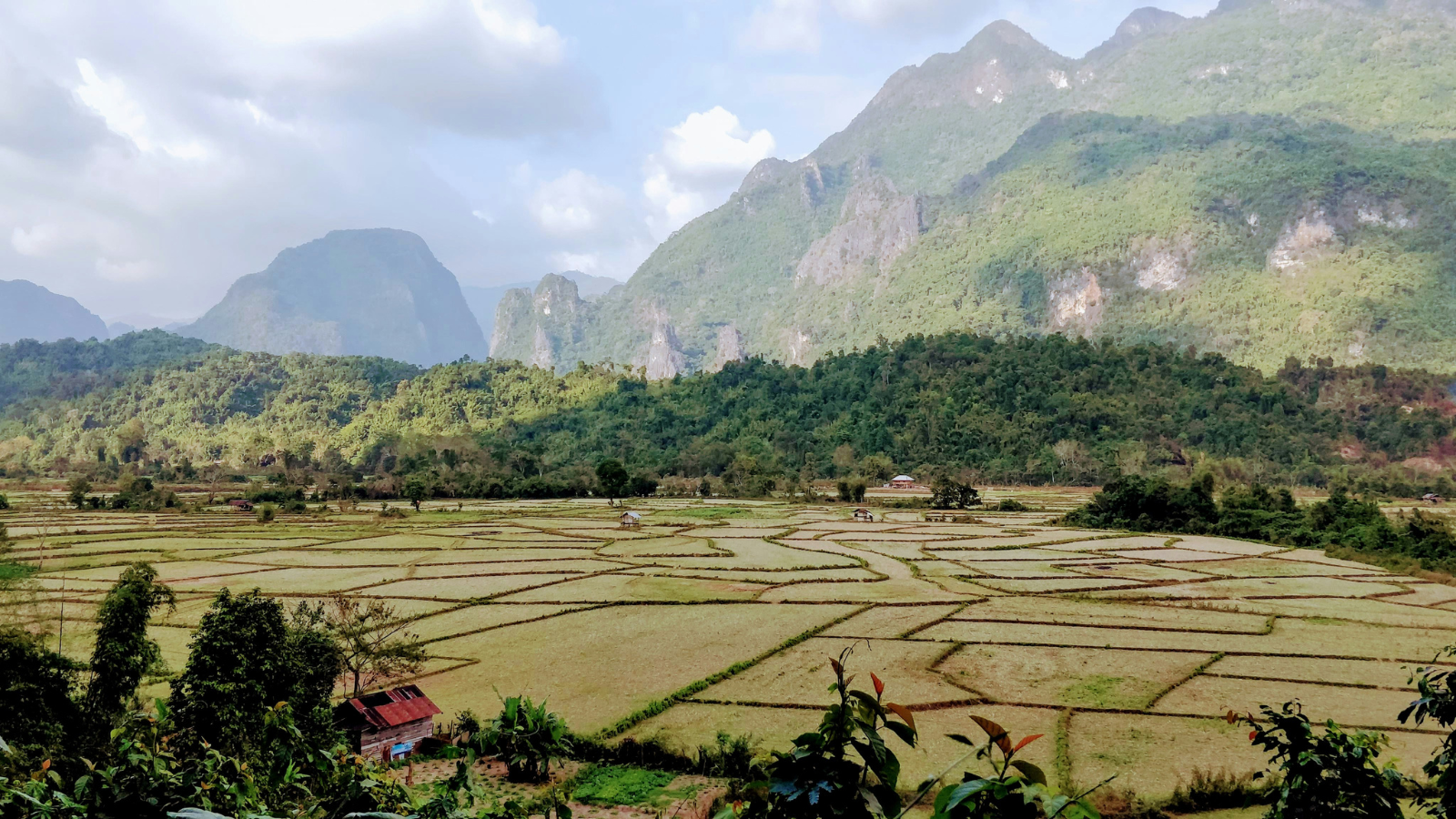 Valley field with mountains in the background