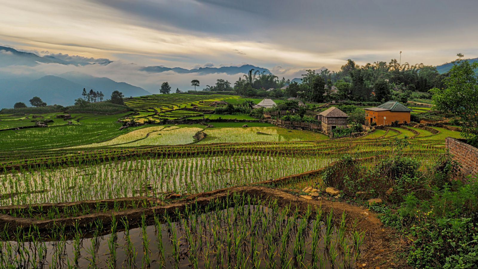 Agricultural field overlooking valley