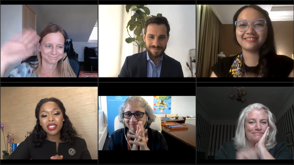 Speakers at the GGKP Webinar for Stockholm+50: What's next?