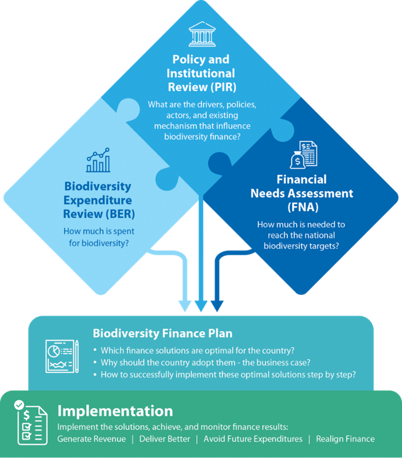 BIOFIN methodology