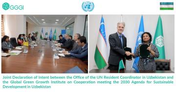 joint declaration