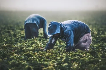 unsplash