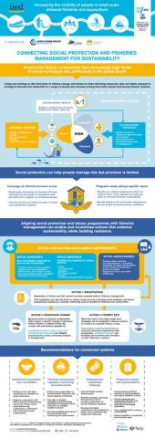 Connecting Social Protection and Fisheries Management for Sustainability