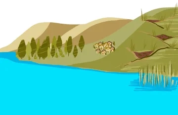 Monitoring Forest and Landscape Restoration
