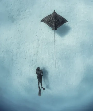 Andre Musgrove, Bahamas, cop26