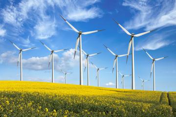 Wind turbines on a green hill covered by yellow flowers against a cloudy blue sky