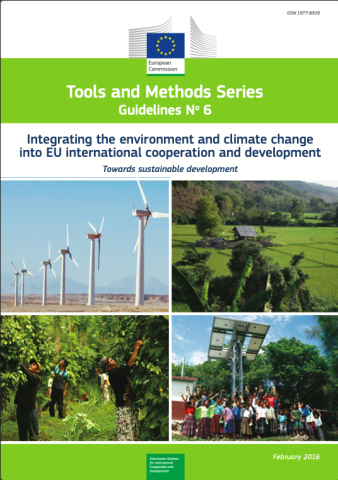 PEA-PEI-Others-24_mainstreaming_guidelines-cover