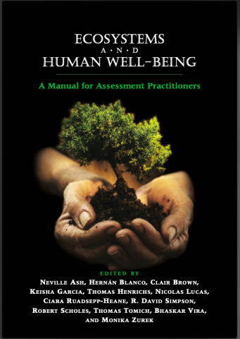 PEA-PEI-Others-31_EcosystemsHumanWellbeing-cover