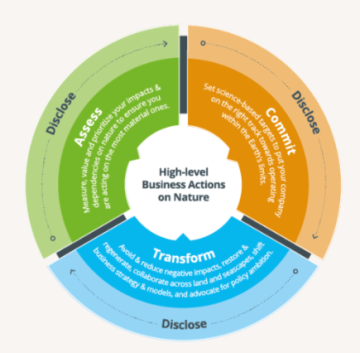 ACT-D: High Level Business Actions