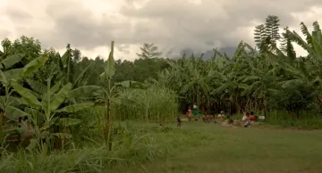 Women in a field