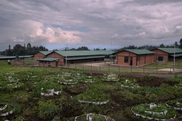 Community garden