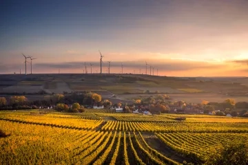 Farm field with wind turbines in the background