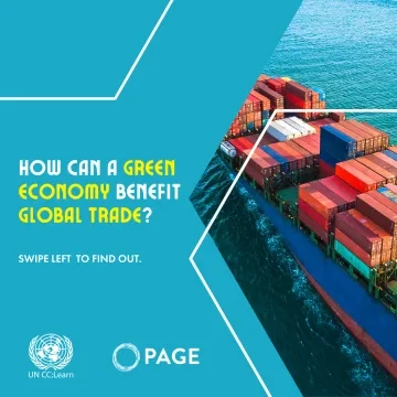 How Can a Green Economy Benefit Global Trade