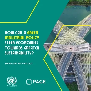 Green Industrial Policy