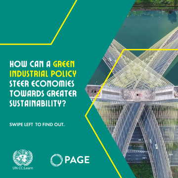 Green Industrial Policy