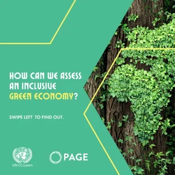 How Can We Assess an Inclusive Green Economy