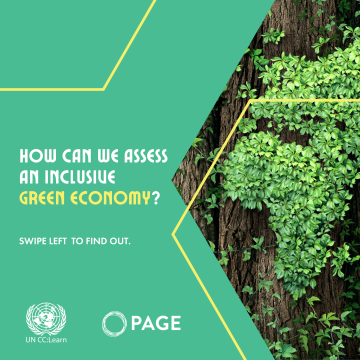 How Can We Assess an Inclusive Green Economy