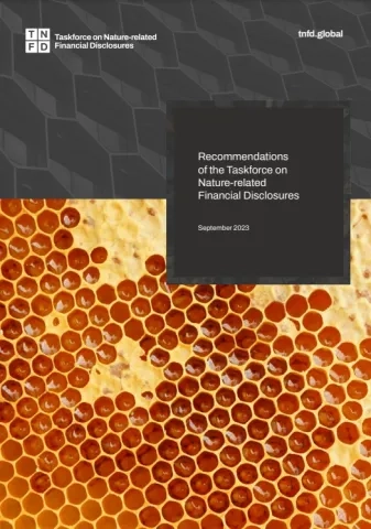 Grey building honeycomb over honeybee honeycomb 