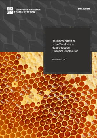 Grey building honeycomb over honeybee honeycomb 