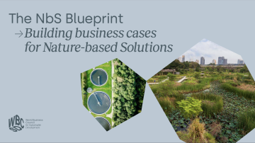 The NbS Blueprint