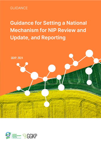 Guidance for Setting a National Mechanism for NIP Review and Update and Reporting