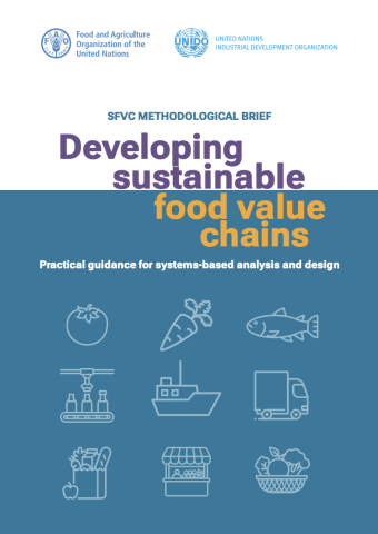 Developing sustainable food value chains