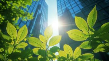 EBI - UNEP session: Upstream decision-making to finance climate resilient infrastructure