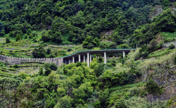 Modern highway in Madeira