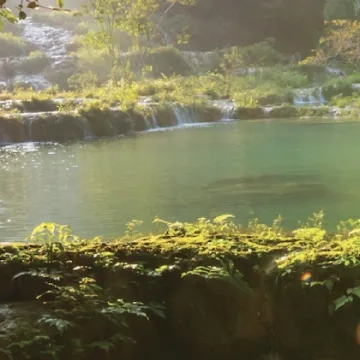 -