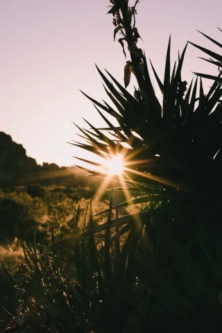 Photo by Mickey Dziwulski on Unsplash