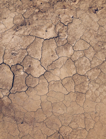 photo from unsplash.PNG