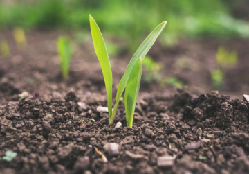 photo from unsplash.PNG