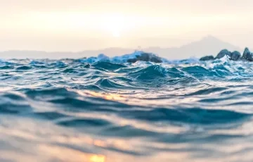 photo from unsplash.PNG
