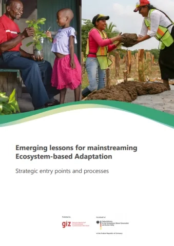 Emerging lessons for mainstreaming Ecosystem-based Adaptation: Strategic entry points and processes